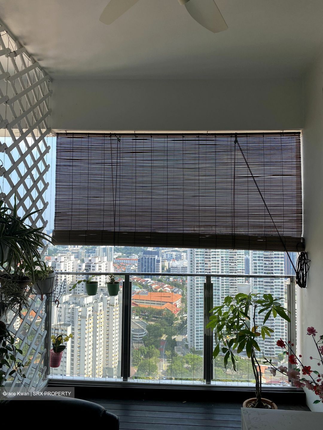 Clover By The Park (D20), Condominium #559592131